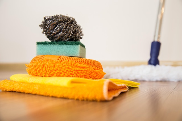 My Field Guide to Cleaning Myths & Chainmail : What Actually Works