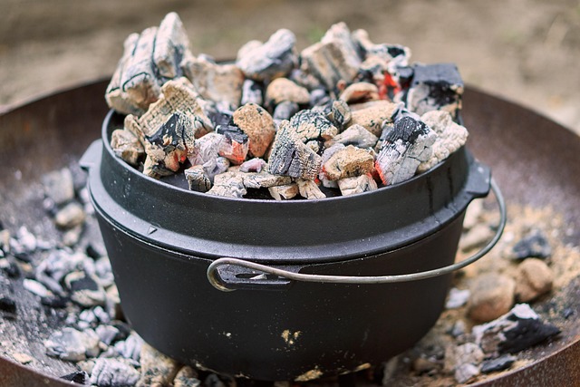My Field Guide to Dutch Oven Bakes & Stews : What Actually Works